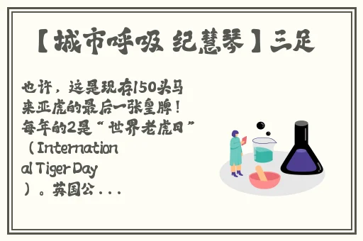 flypaper刘玉玲
